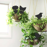 Thumbnail for Super Sticky Gnat & Aphid Traps for Potted Plants - Black (12 Pack) - Envirobug