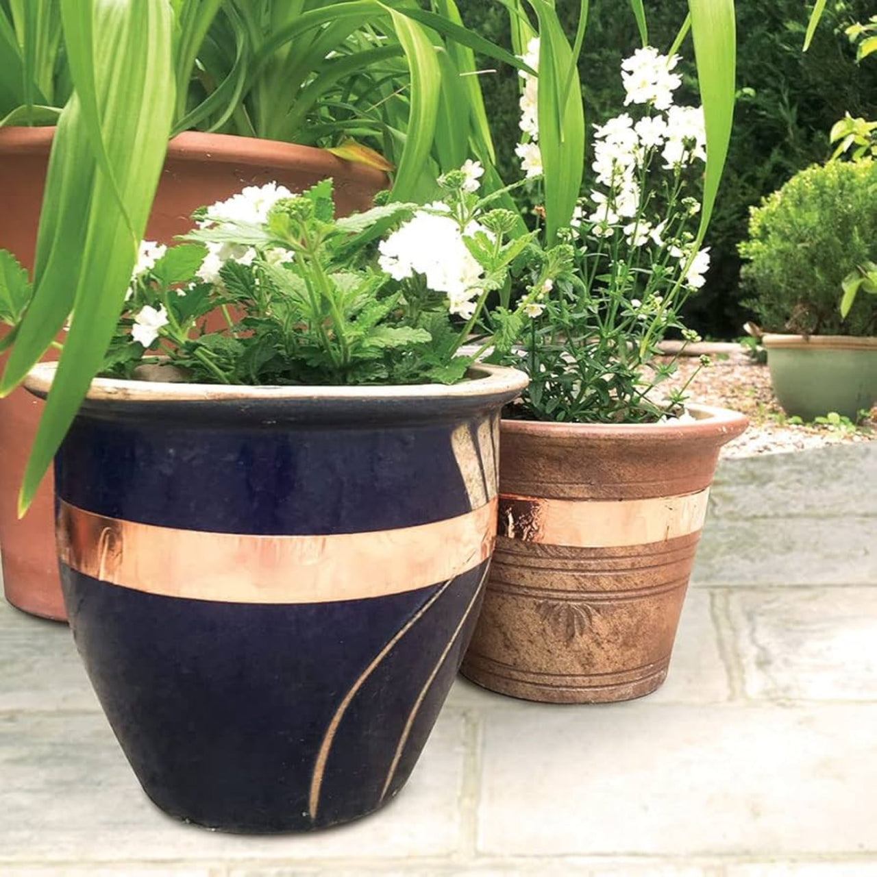 Copper Slug and Snail Tape - *Huge 25 Metre Roll* - Envirobug