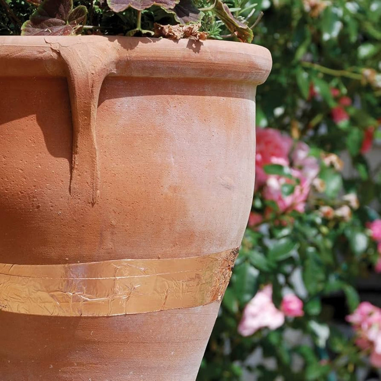 Copper Slug and Snail Tape - *Huge 25 Metre Roll* - Envirobug