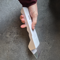 Thumbnail for Bug Catcher