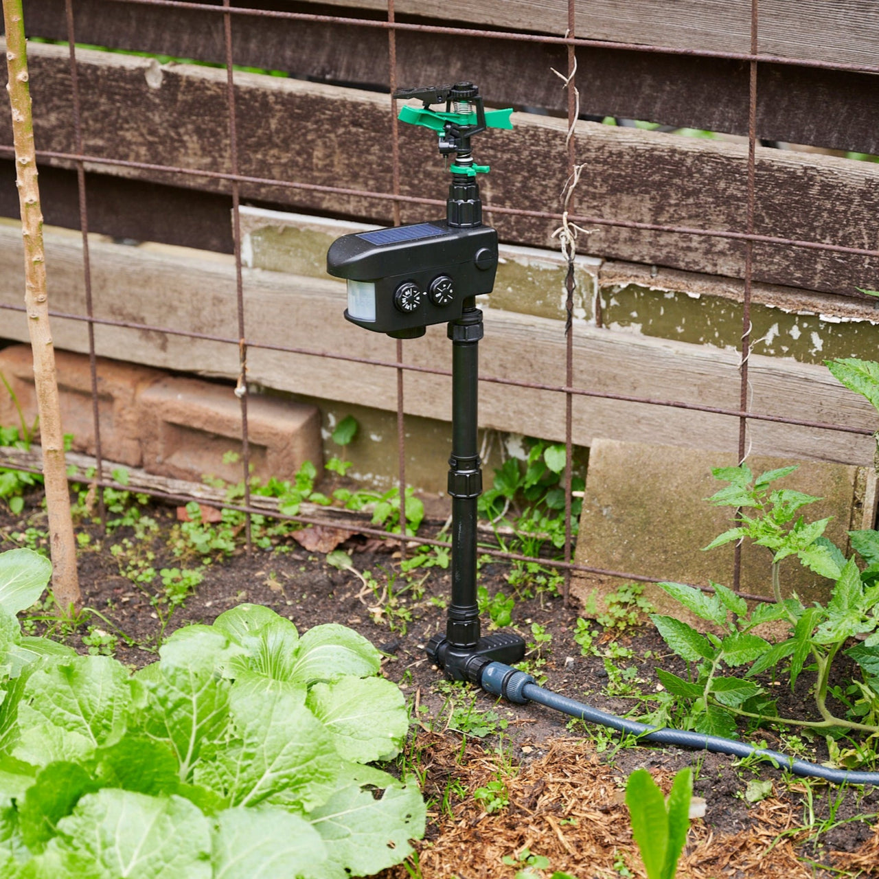 Garden Sentinel Motion-activated animal sprinkler - Envirobug