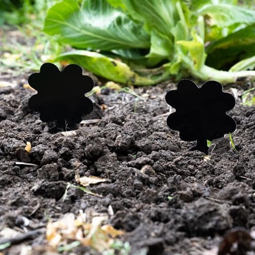 Super Sticky Gnat & Aphid Traps for Potted Plants - Black (12 Pack) - Envirobug