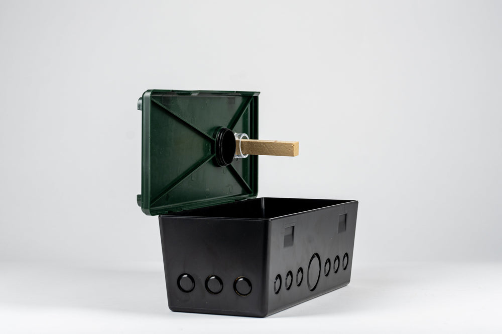 how to keep termites away