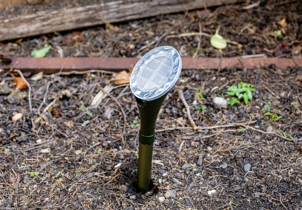 Discover Australia's Most Common House Pests and Learn How to Get Rid of Invaders!