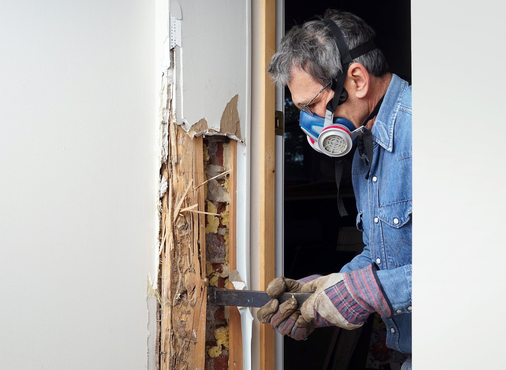 Is termite damage covered by insurance