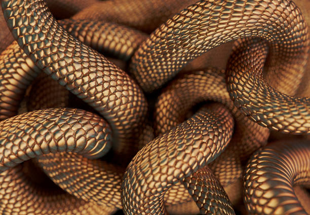 Snakes in WA