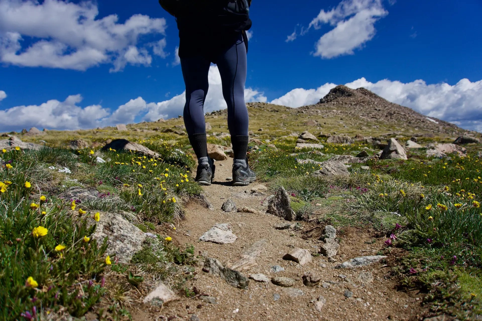 Snake Proof Socks to Protect your Legs