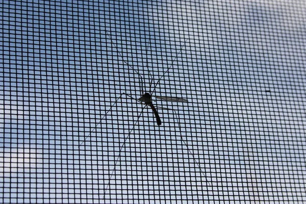 Keeping Mosquitos Away Using Mosquito Nets
