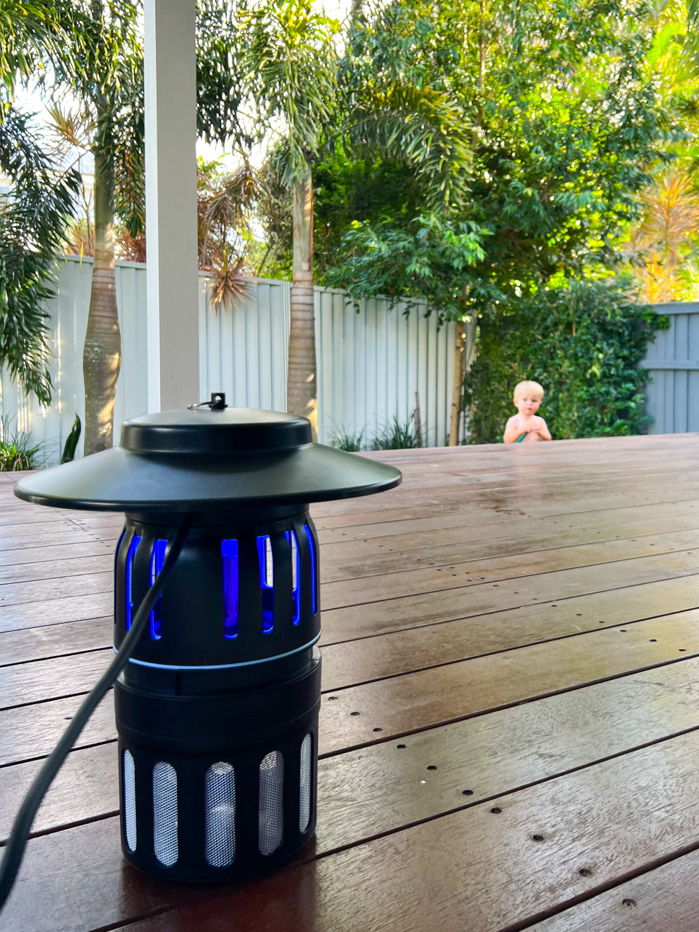 Is Pest Control Safe for Your Pets, Family, and Home?