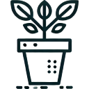 Specially designed to attract and trap plant pests