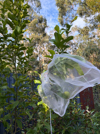 Thumbnail for Tree Defender – Fruit Protection Sleeves (10 Pack) for Birds and Insects - Envirobug