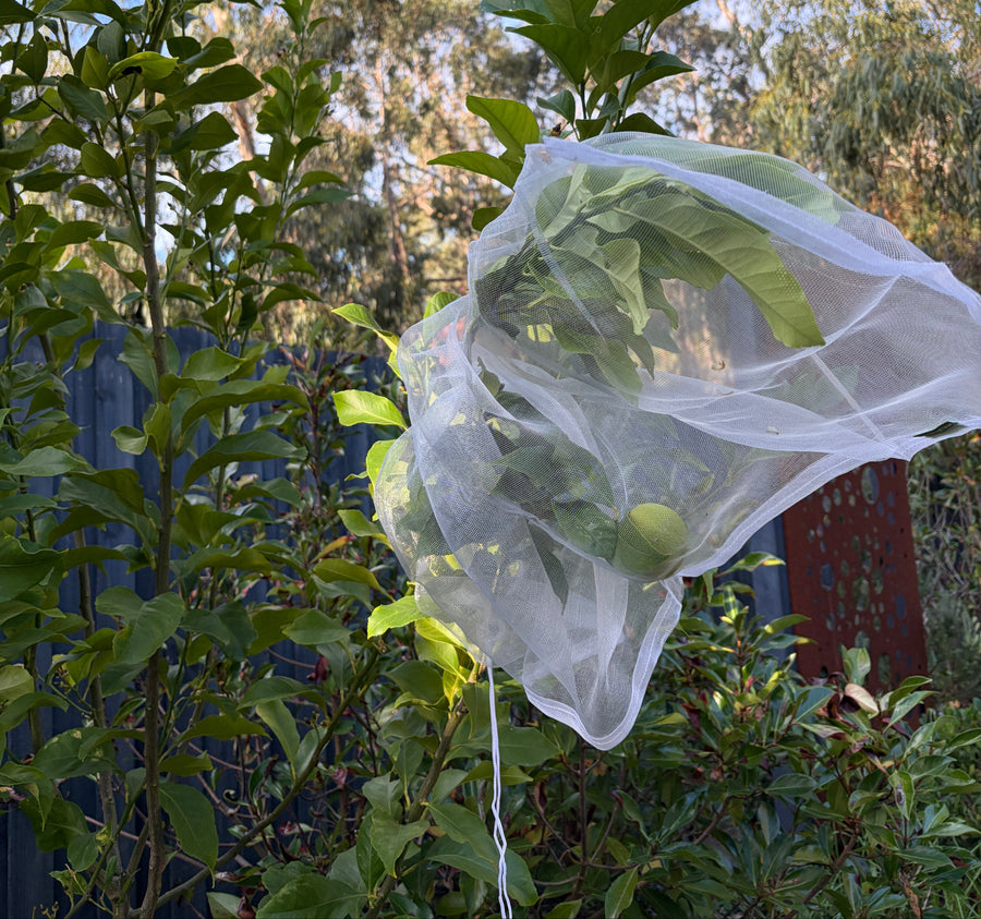 Tree Defender – Fruit Protection Sleeves (10 Pack) for Birds and Insects - Envirobug