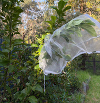 Thumbnail for Tree Defender – Fruit Protection Sleeves (10 Pack) for Birds and Insects - Envirobug