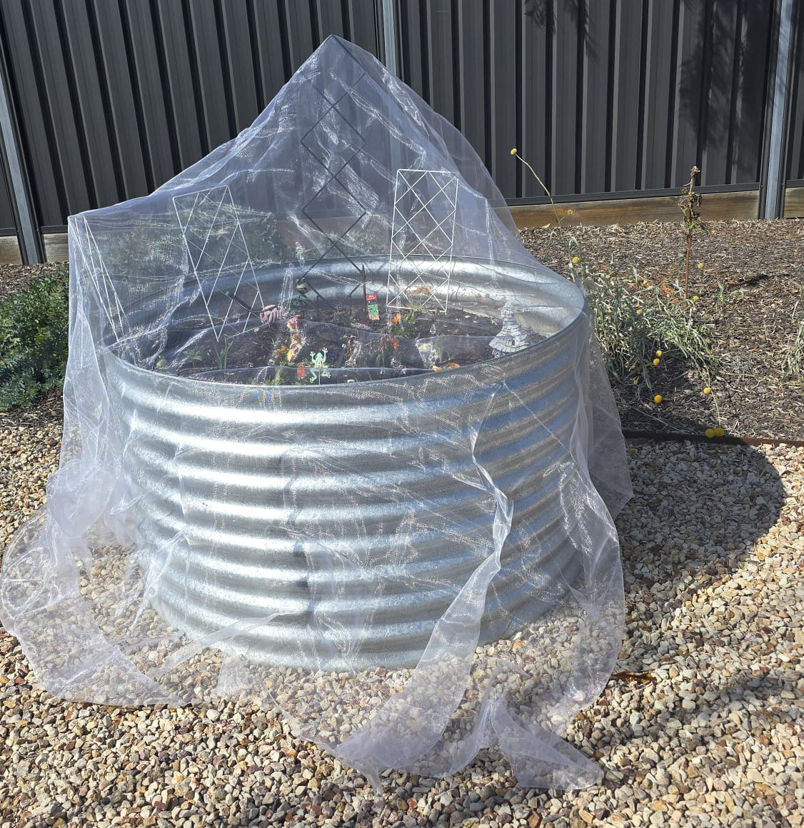 Tree Defender – Drape Nets for Birds and Insects