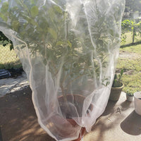 Thumbnail for EnviroBug Tree Defender – Fruit Tree Netting for Bird and Insect - Envirobug