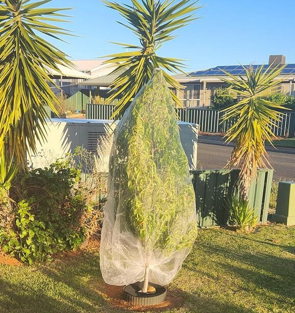 EnviroBug Tree Defender – Fruit Tree Netting for Bird and Insect - Envirobug