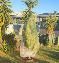 Thumbnail for EnviroBug Tree Defender – Fruit Tree Netting for Bird and Insect - Envirobug