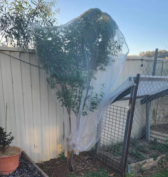 EnviroBug Tree Defender – Fruit Tree Netting for Bird and Insect - Envirobug