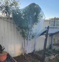 Thumbnail for EnviroBug Tree Defender – Fruit Tree Netting for Bird and Insect - Envirobug