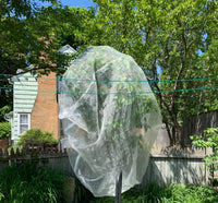 Thumbnail for Tree Defender – Fruit Tree Netting for Birds and Insects