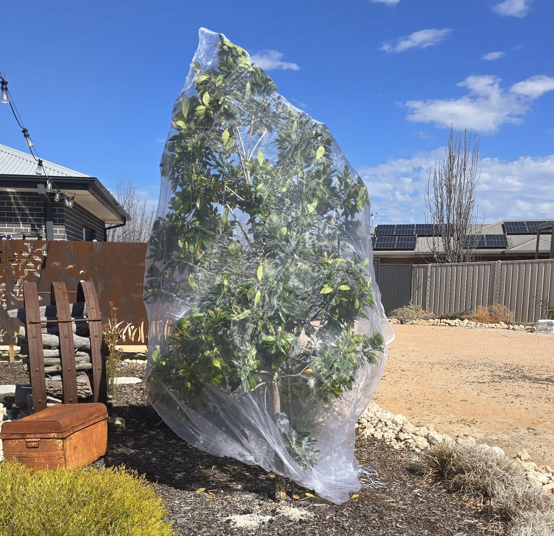 Tree Defender – Fruit Tree Netting for Birds and Insects