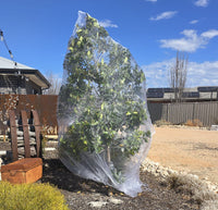 Thumbnail for Tree Defender – Fruit Tree Netting for Birds and Insects