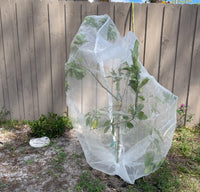 Thumbnail for Tree Defender – Fruit Tree Netting for Birds and Insects