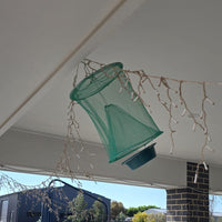 Thumbnail for Hanging Fly Trap (Pack of 2) - Eco Reusable