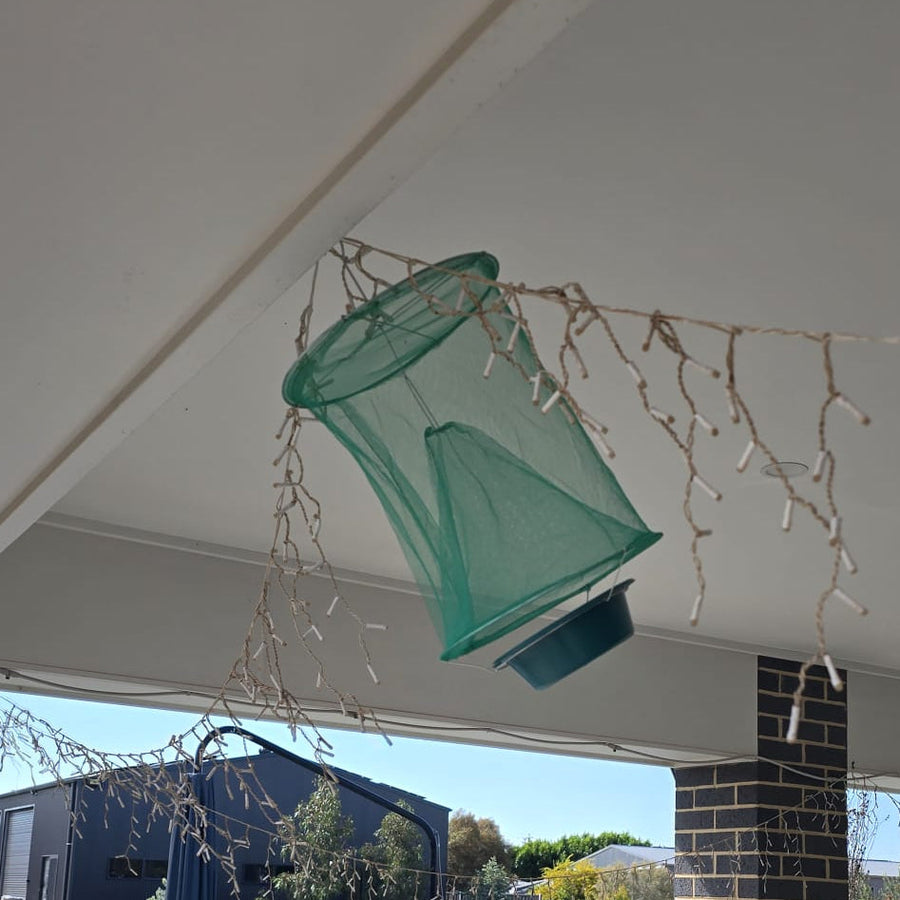 Hanging Fly Trap (Pack of 2) - Eco Reusable - Envirobug