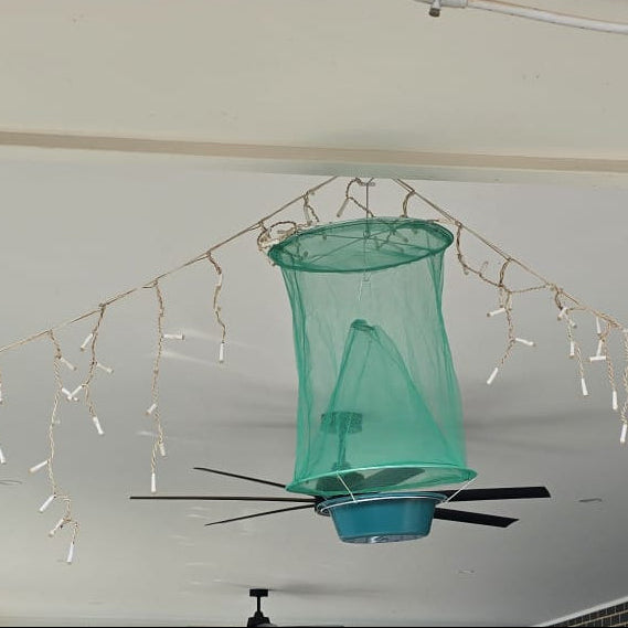 Hanging Fly Trap (Pack of 2) - Eco Reusable