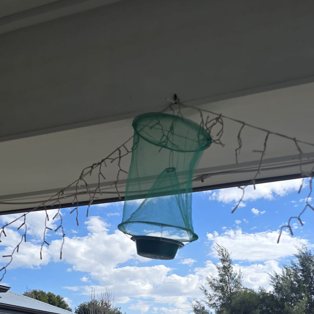 Hanging Fly Trap (Pack of 2) - Eco Reusable