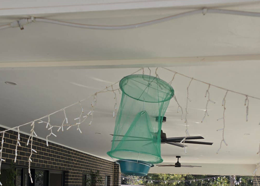Hanging Fly Trap (Pack of 2) - Eco Reusable