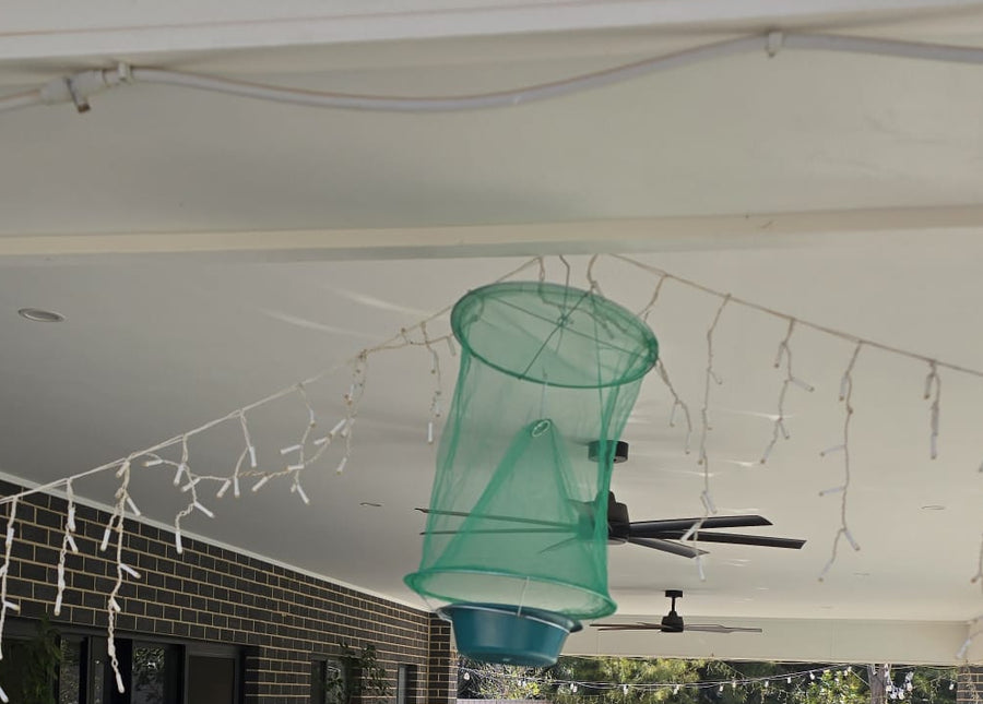 Hanging Fly Trap (Pack of 2) - Eco Reusable - Envirobug