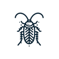 Cockroaches