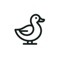Ducks