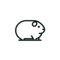 Rodents