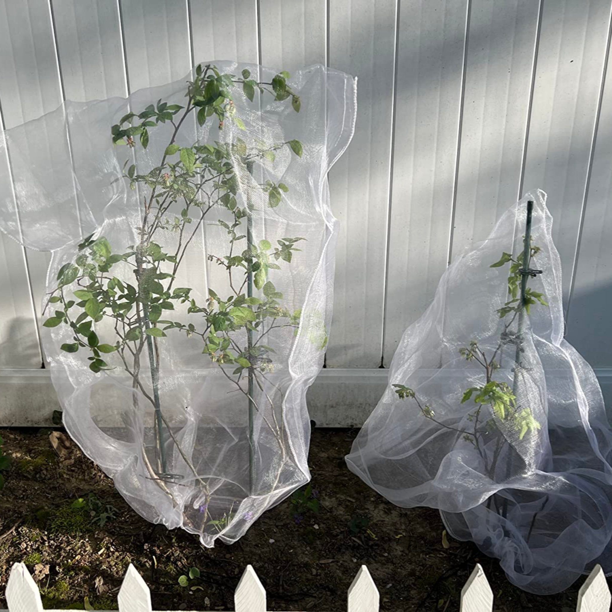 EnviroBug Tree Defender – Fruit Tree Netting for Bird and Insect - Envirobug