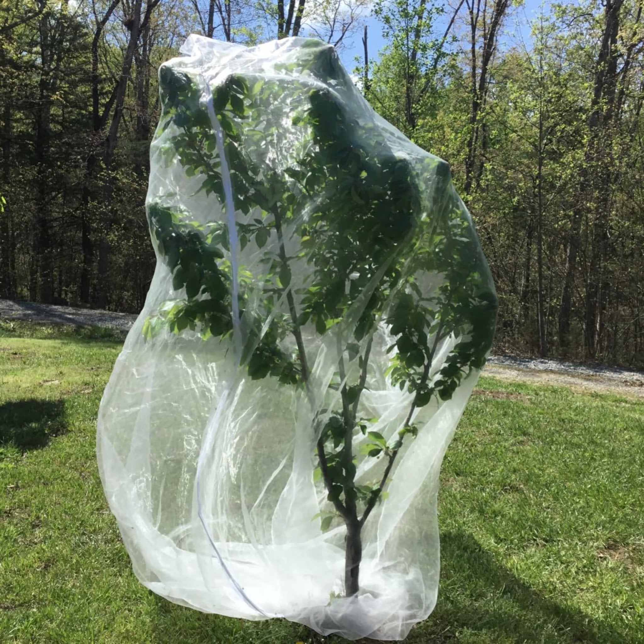 EnviroBug Tree Defender – Fruit Tree Netting for Bird and Insect - Envirobug