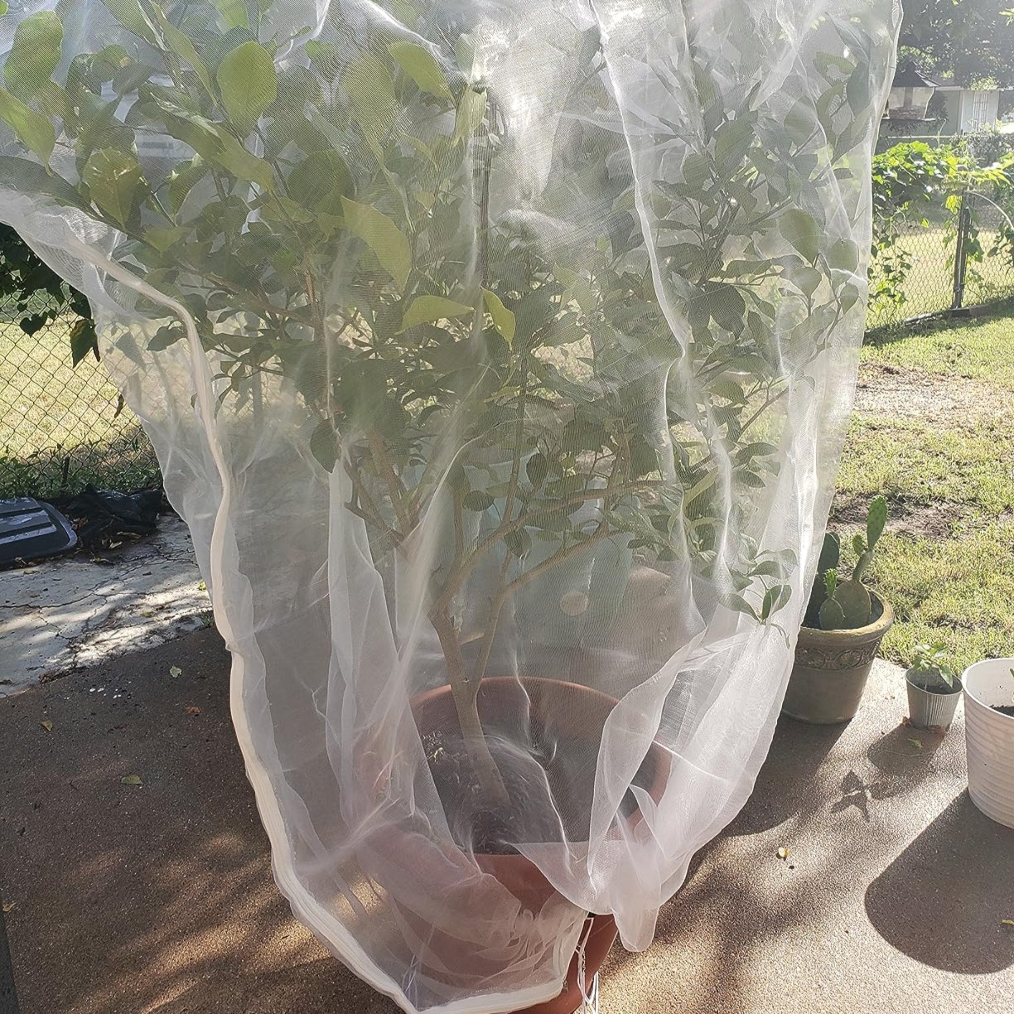 EnviroBug Tree Defender – Fruit Tree Netting for Bird and Insect - Envirobug