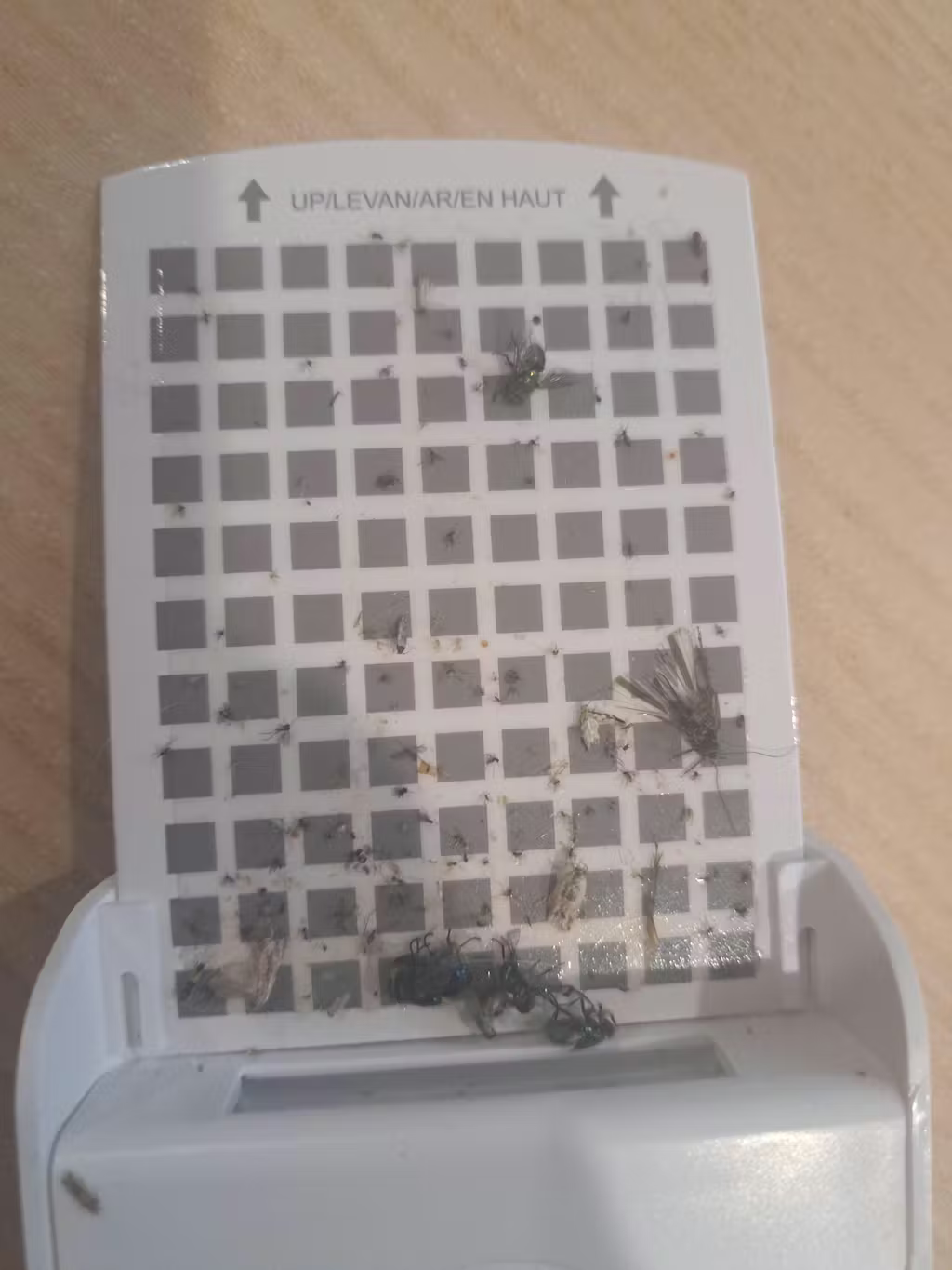 Bug Magnet - Plug-in Flying Insect Sticky Trap - Envirobug