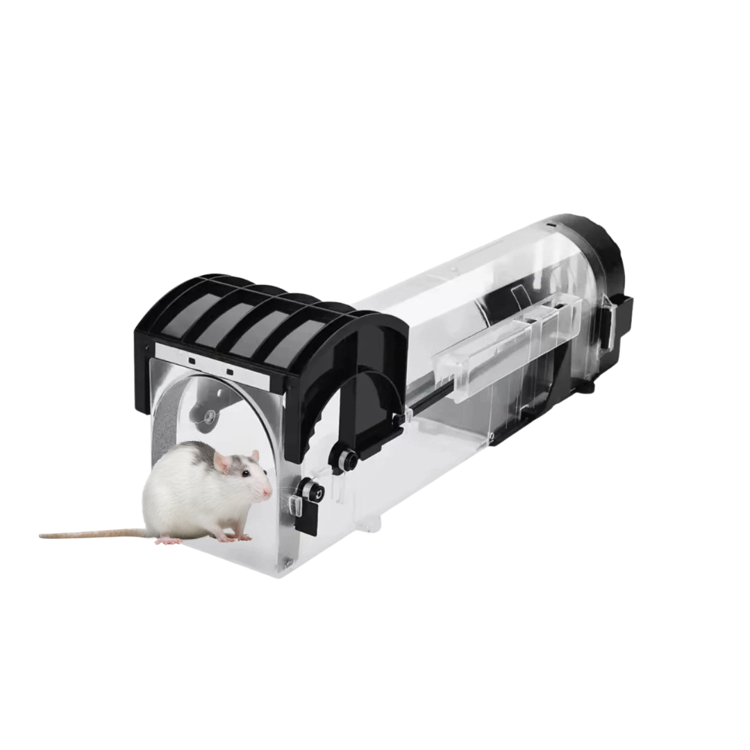 EnviroBug Humane Traps for Mice and Rodents - Envirobug