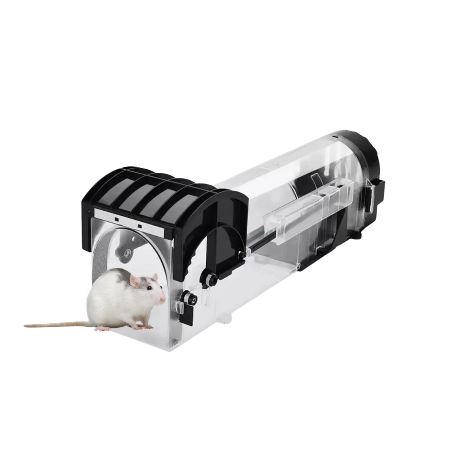 EnviroBug Humane Traps for Mice and Rodents - Envirobug