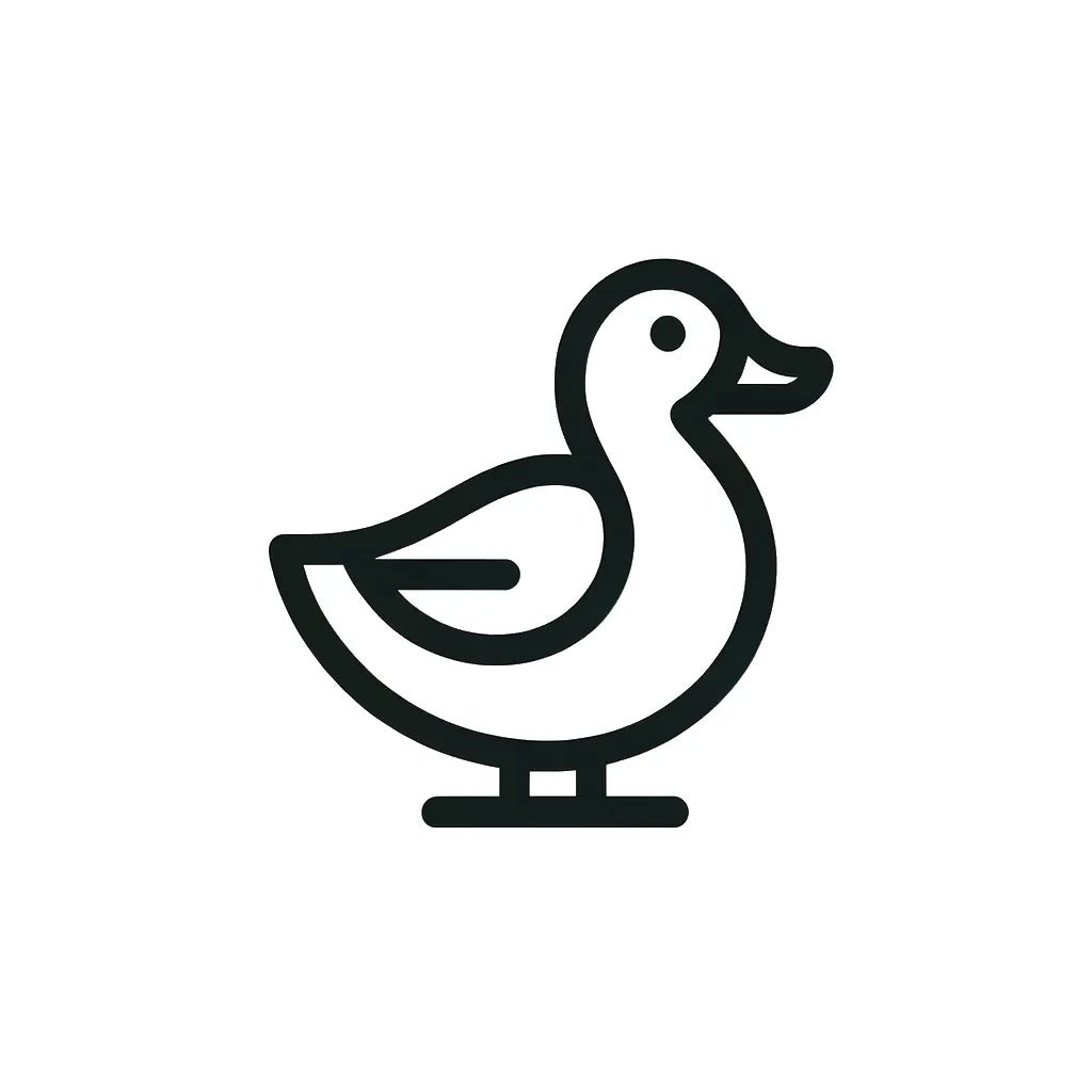 Nocturnal Possums in Australia: When and Why They Come Out – Envirobug