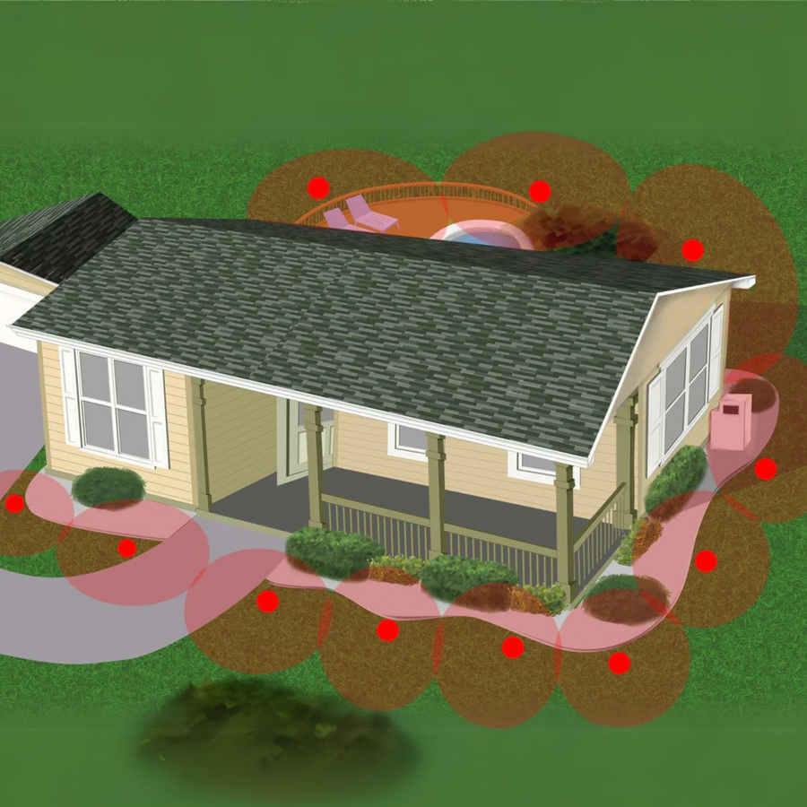 Termite Ninja - Ultimate DIY Termite Eradication System - Envirobug