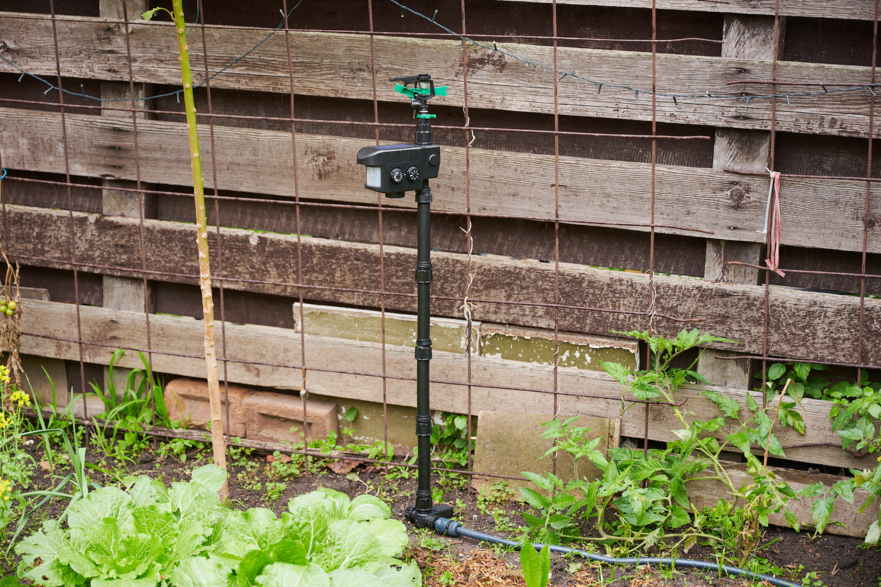 Garden Sentinel Motion-activated animal sprinkler - Envirobug