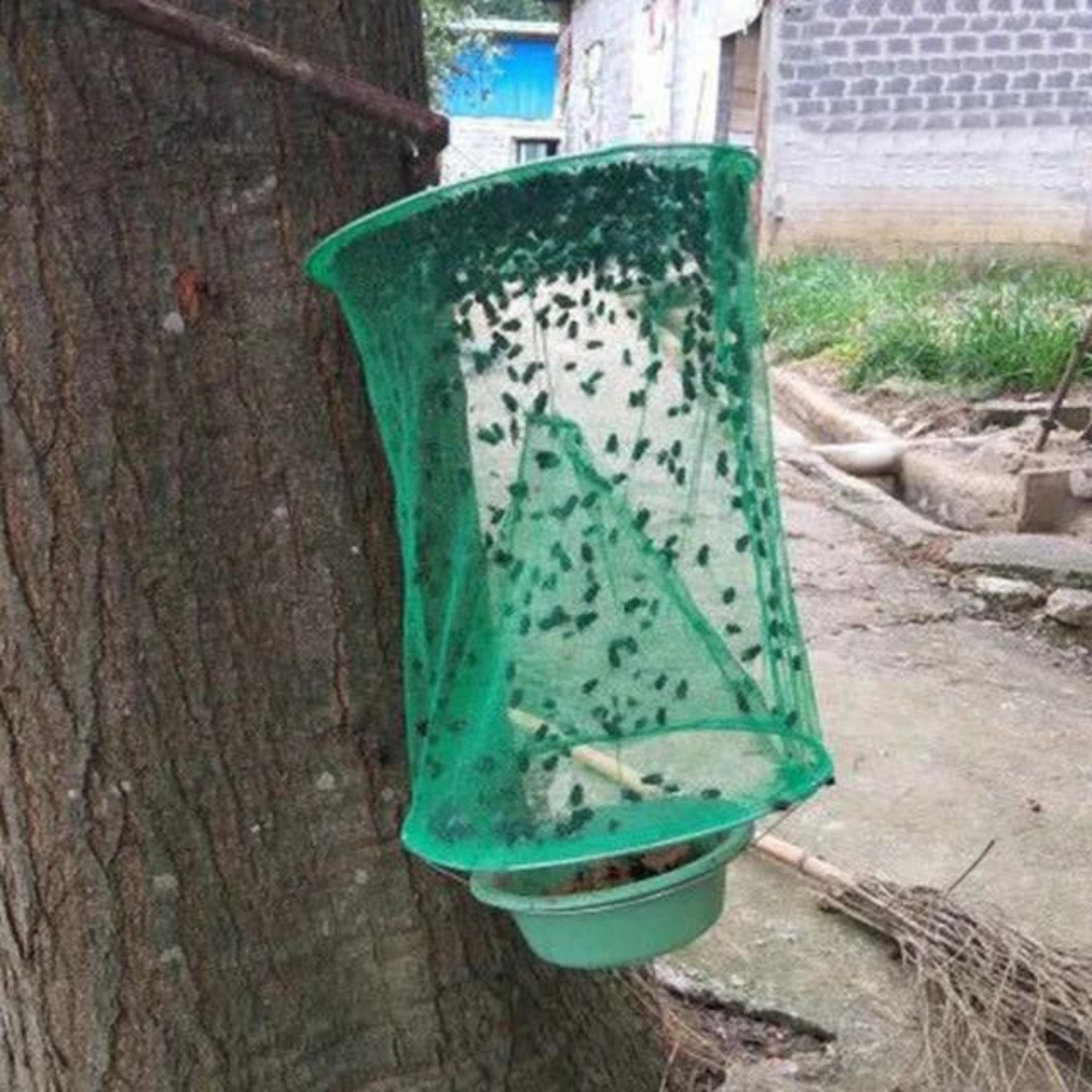 Envirobug Eco-Friendly Mesh Fly Trap (Pack of 2)-Envirobug