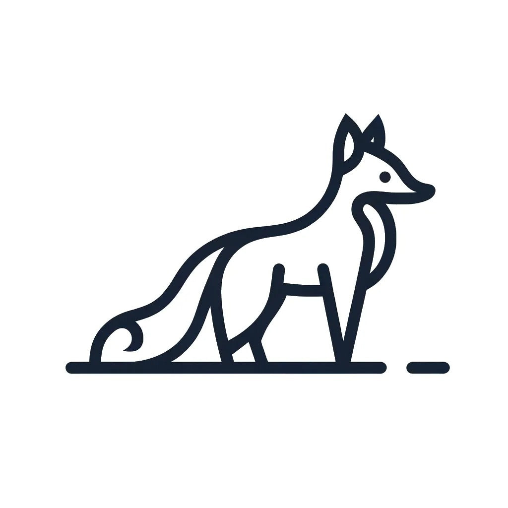 Nocturnal Possums in Australia: When and Why They Come Out – Envirobug