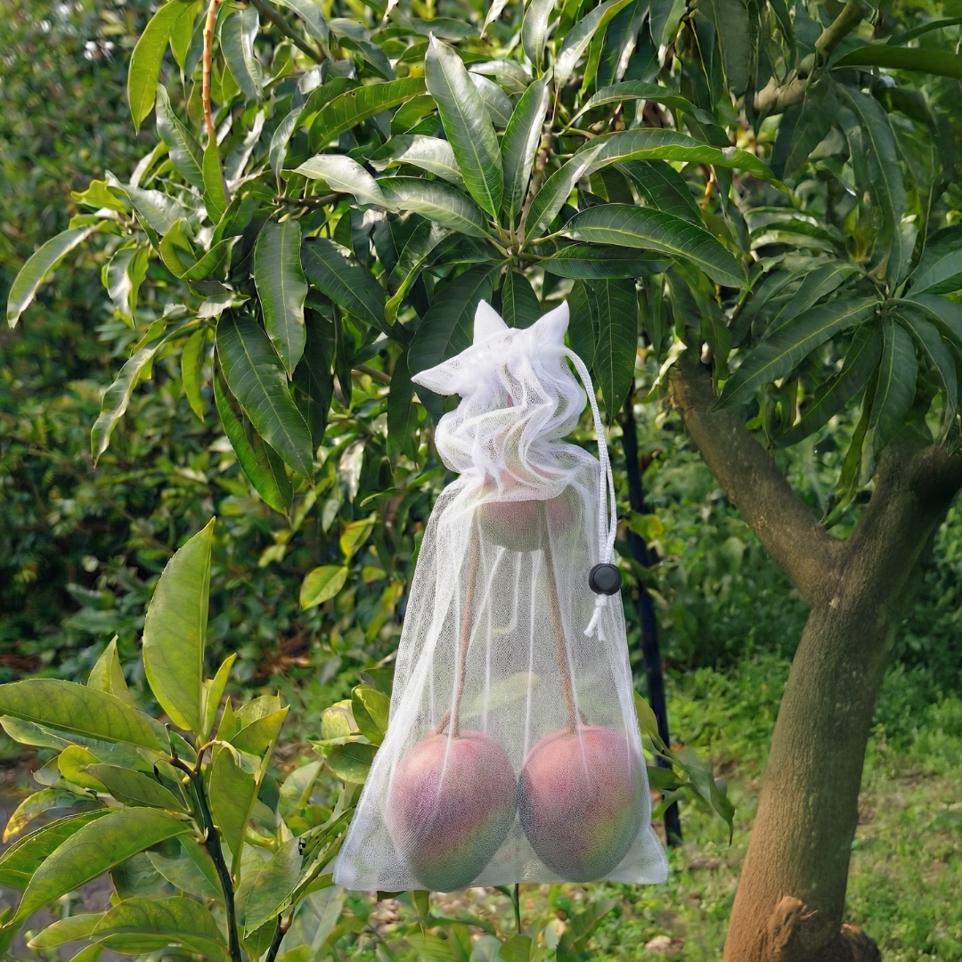 EnviroBug Tree Defender – Fruit Bags (10 Pack) for Bird and Insect - Envirobug