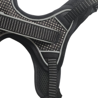Thumbnail for Dog Harness – With Metal Tag - Envirobug