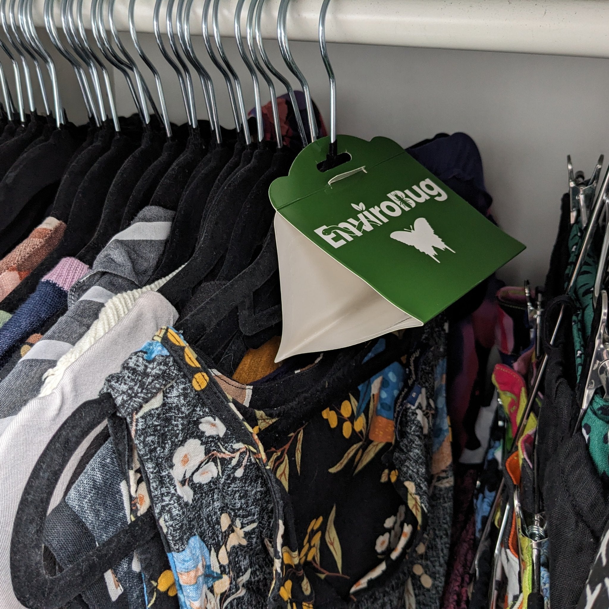 Lure+Stick: Pheromone Traps for Moths - Envirobug